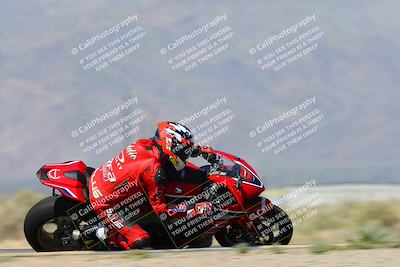 media/Apr-13-2024-SoCal Trackdays (Sat) [[f1617382bd]]/4-Turn 16 Inside Speed Pans (1030am)/